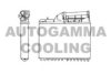 AUTOGAMMA 101623 Heat Exchanger, interior heating